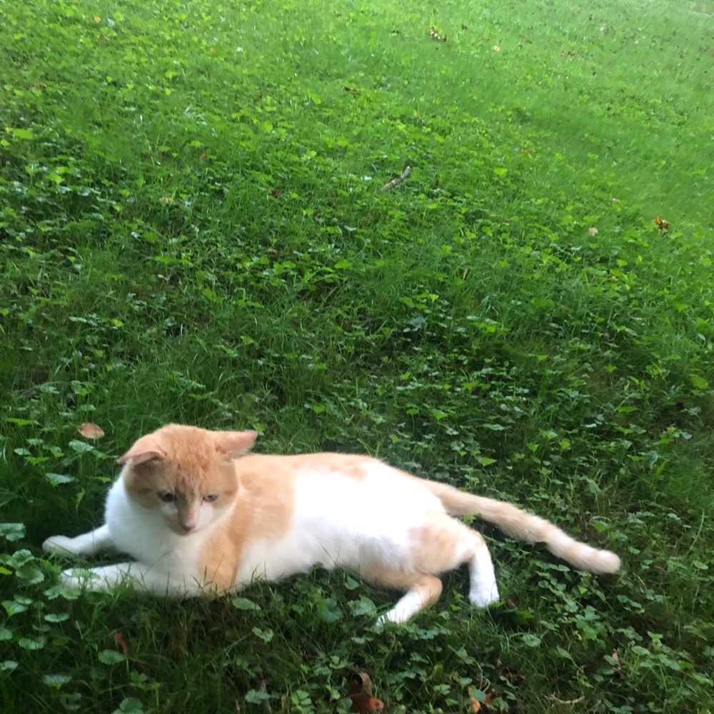 Meet your Posher, Maddy